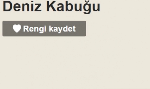 Marshall Deniz Kabuğu Rengi Ufkunuzu Açacak