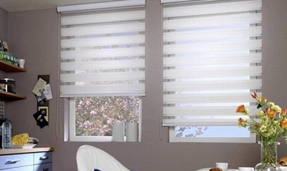 En Güzel Zebra Perde Modelleri Harikalar