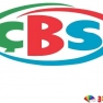ÇBS Boya Dış Cephe Renk Kataloğu Güçlü Boyanın Farkına Varın